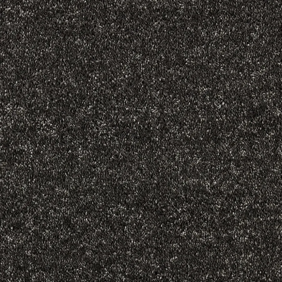 Kwantum Tapijt | Tapijt Canora Antraciet