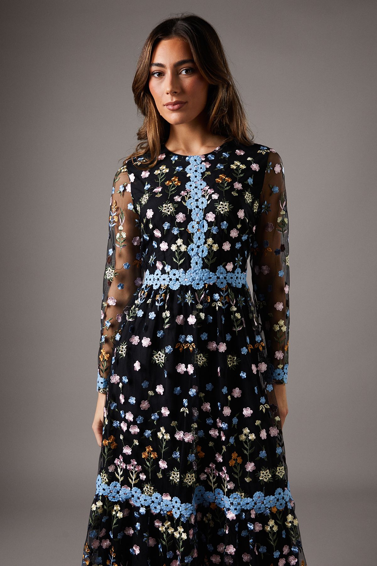 Coast Embroidered Floral Midi Dress