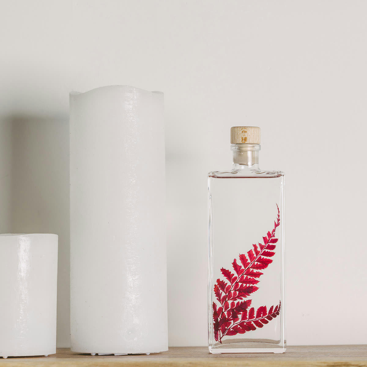 HERBARIUM DE THEOPHILE - Plante immergée Rumohra rouge