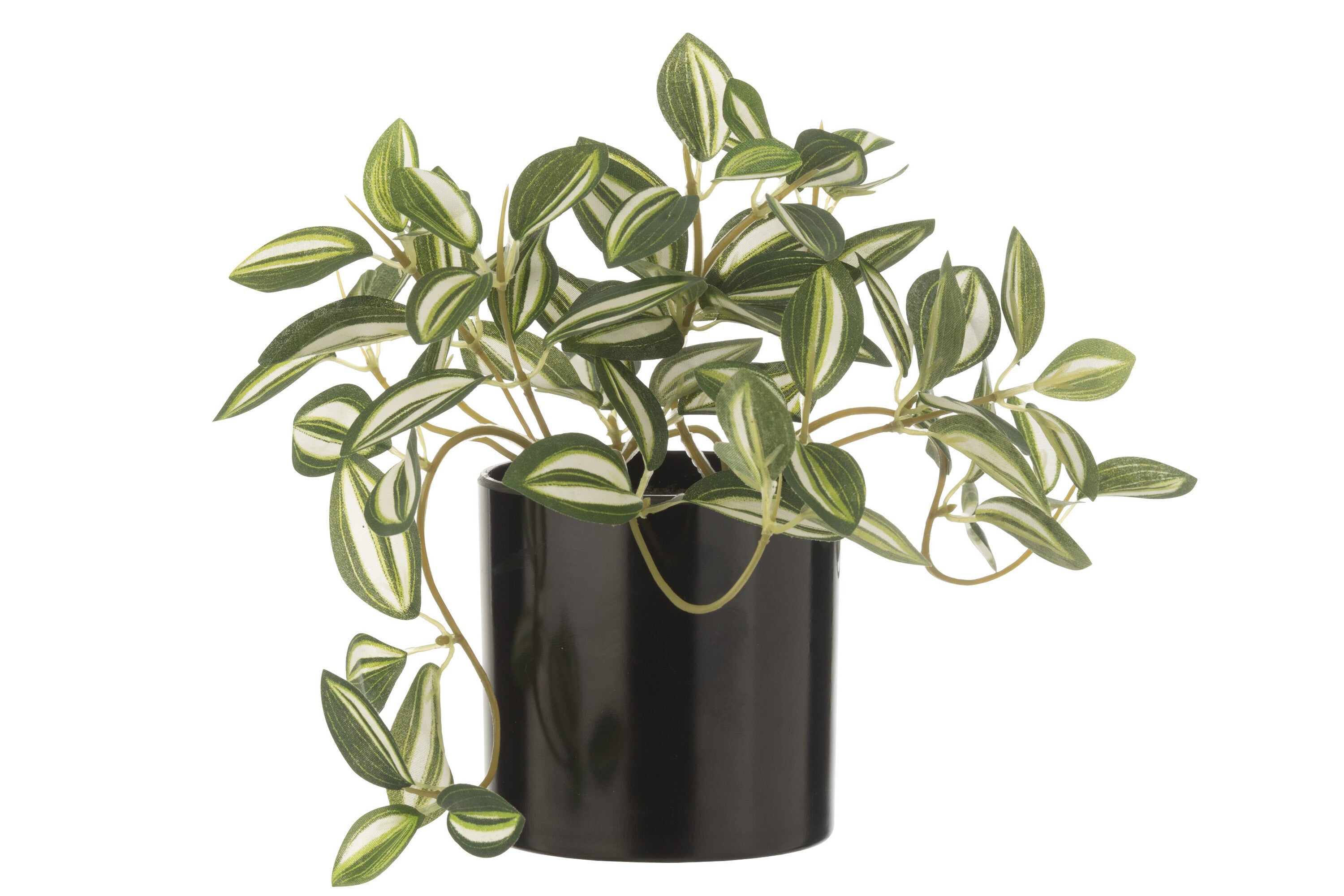 J-Line plant Tradescantia in pot - kunststof - groen wit