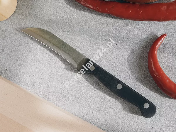 Komplet noży kuchennych (6el) w bloku Amefa / Richardson Sheffield - ARTISAN