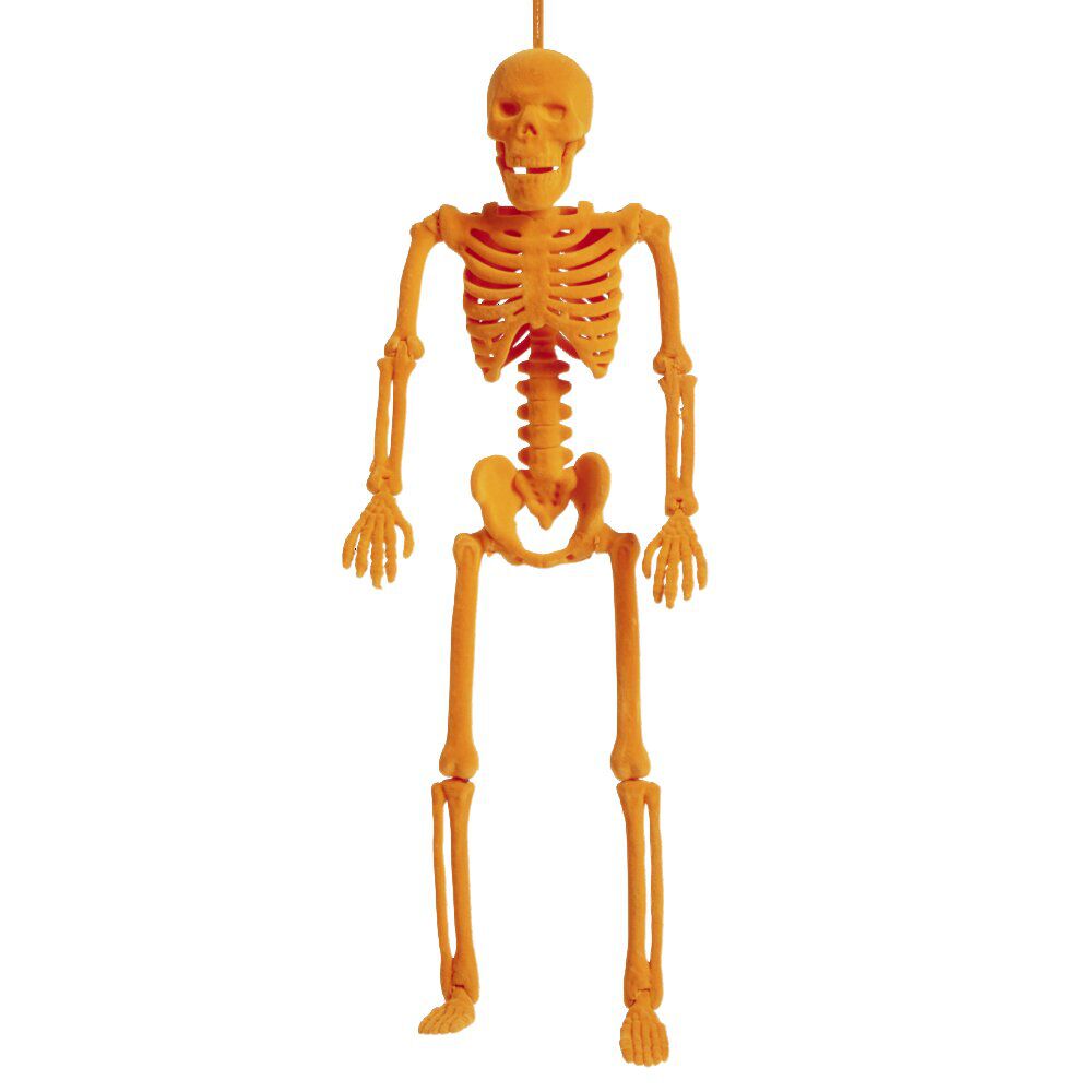 Squelette à suspendre Halloween H40cm
