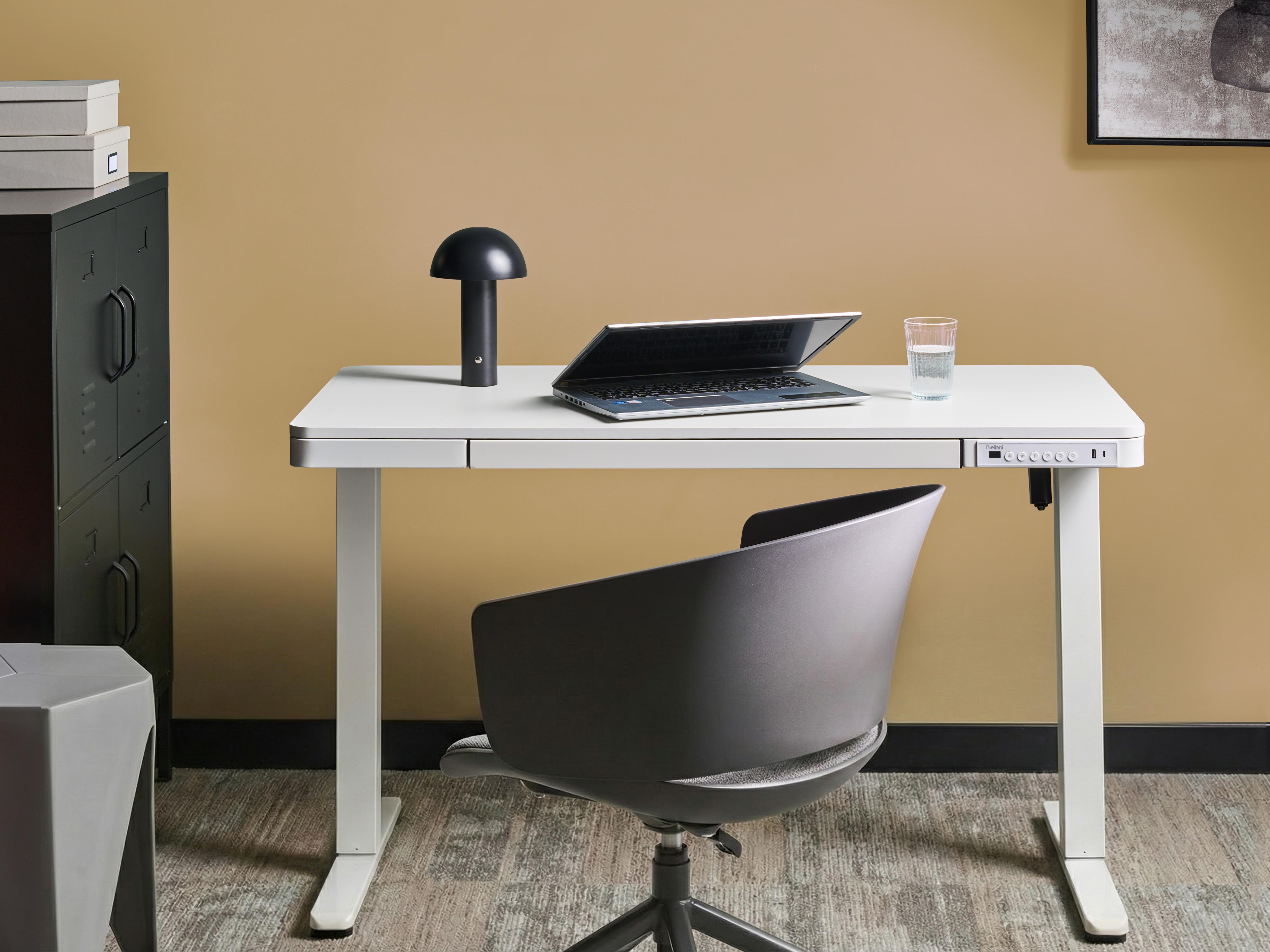 Electric Adjustable Standing Desk PENLY White 120 cm 60 cm with USB Port