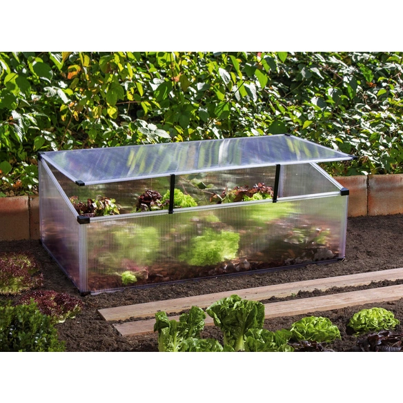 Frühbeet »Feronia«, BxHxL: 56 x 36 x 104 cm, Polycarbonat (PC)
