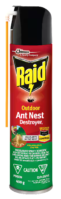 Raid® Outdoor Ant Nest Destroyer & Insect Killer, Insecticide Spray, 400-g