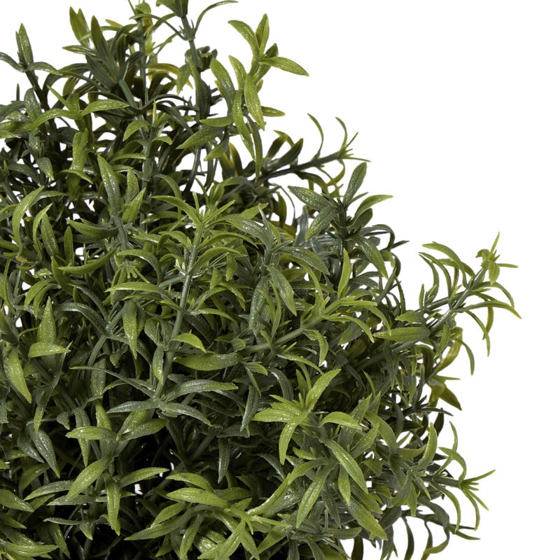 Rozemarijn plantje in pot - groen - &Oslash;25x25 cm