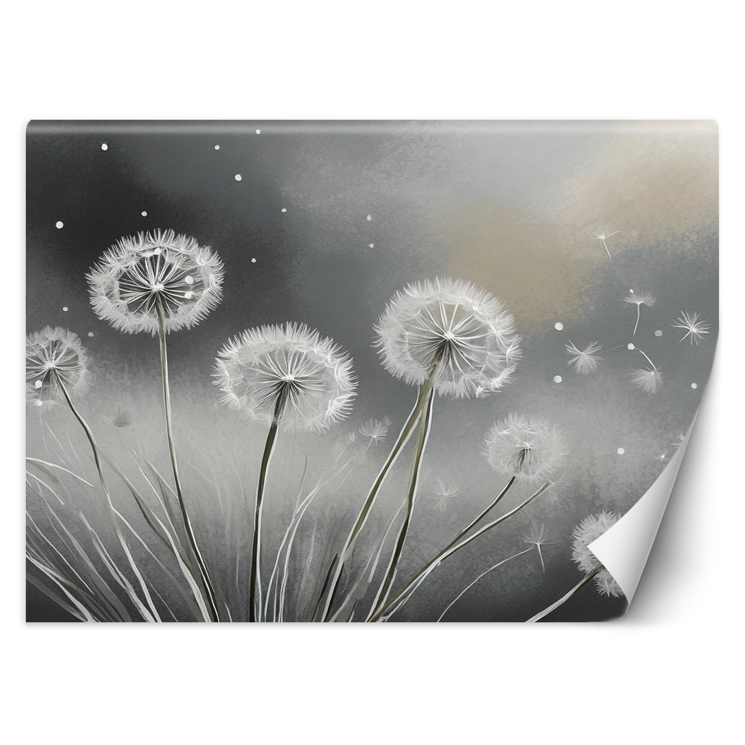Feeby Fototapeta, Dmuchawce Rośliny Natura 150x105
