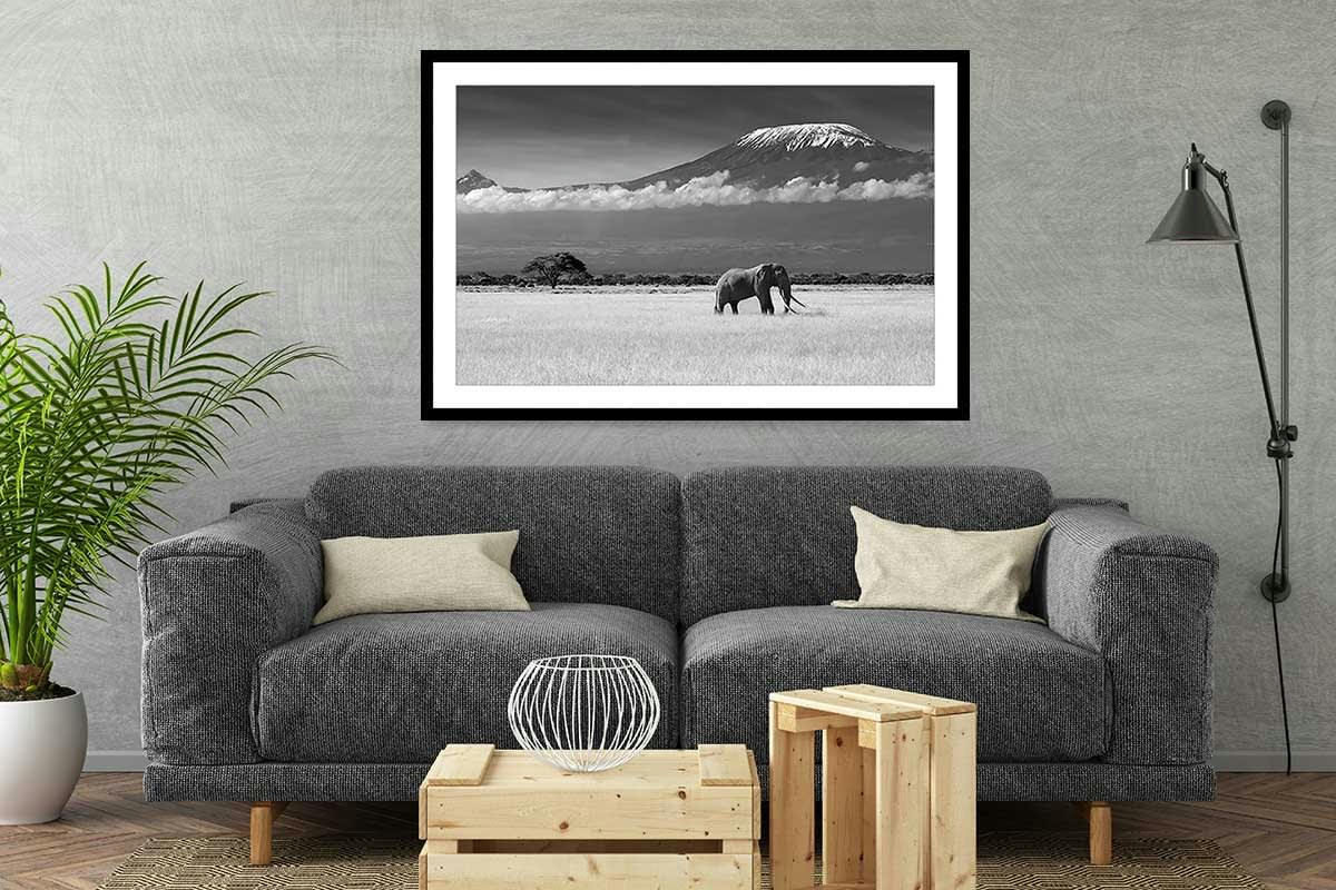 - Affiche éléphant et kilimanjaro sans cadre 45x30cm
