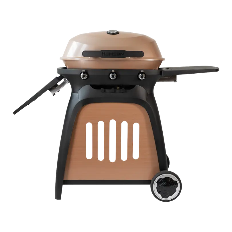 Gasgrill Ryde 3
