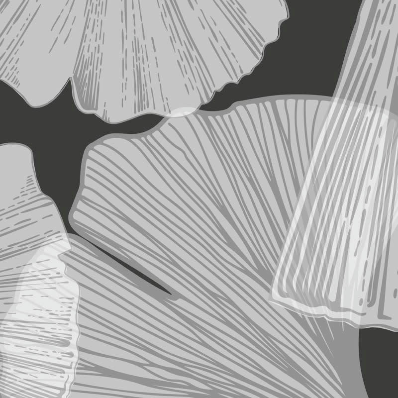 GINGKO ANTHRACITE - Crédence cuisine Bandeau ALU lot de 2 L100xH20cm Gris Feuillage