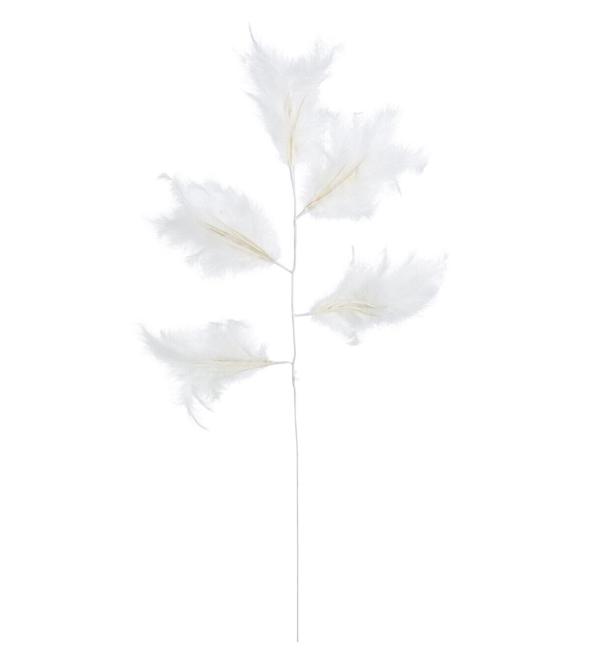 33.5 White Feather Stem by Bloom Room