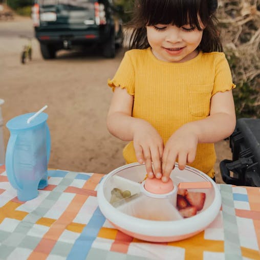GoBe Large Snack Spinner | Pink