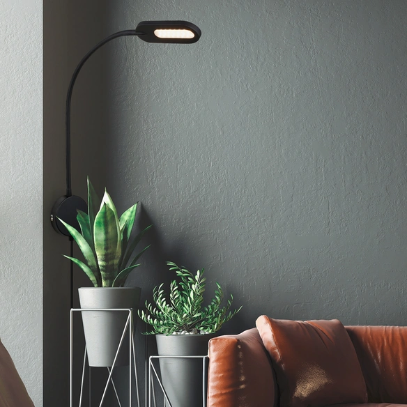 LED-Wand- und Deckenleuchte, 650 lm, 52 x 44,5 x 10 cm, schwarz, helles warm-weiß, Touchfunktion