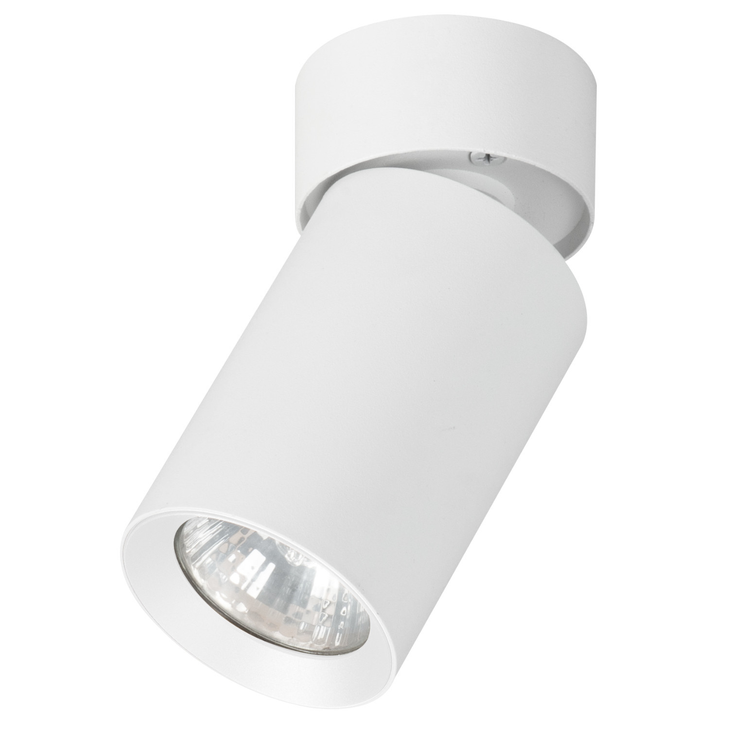 Spot okrągły biały FLEX 1xGU10x10W wym:9x6x6cm IP20 Alfa