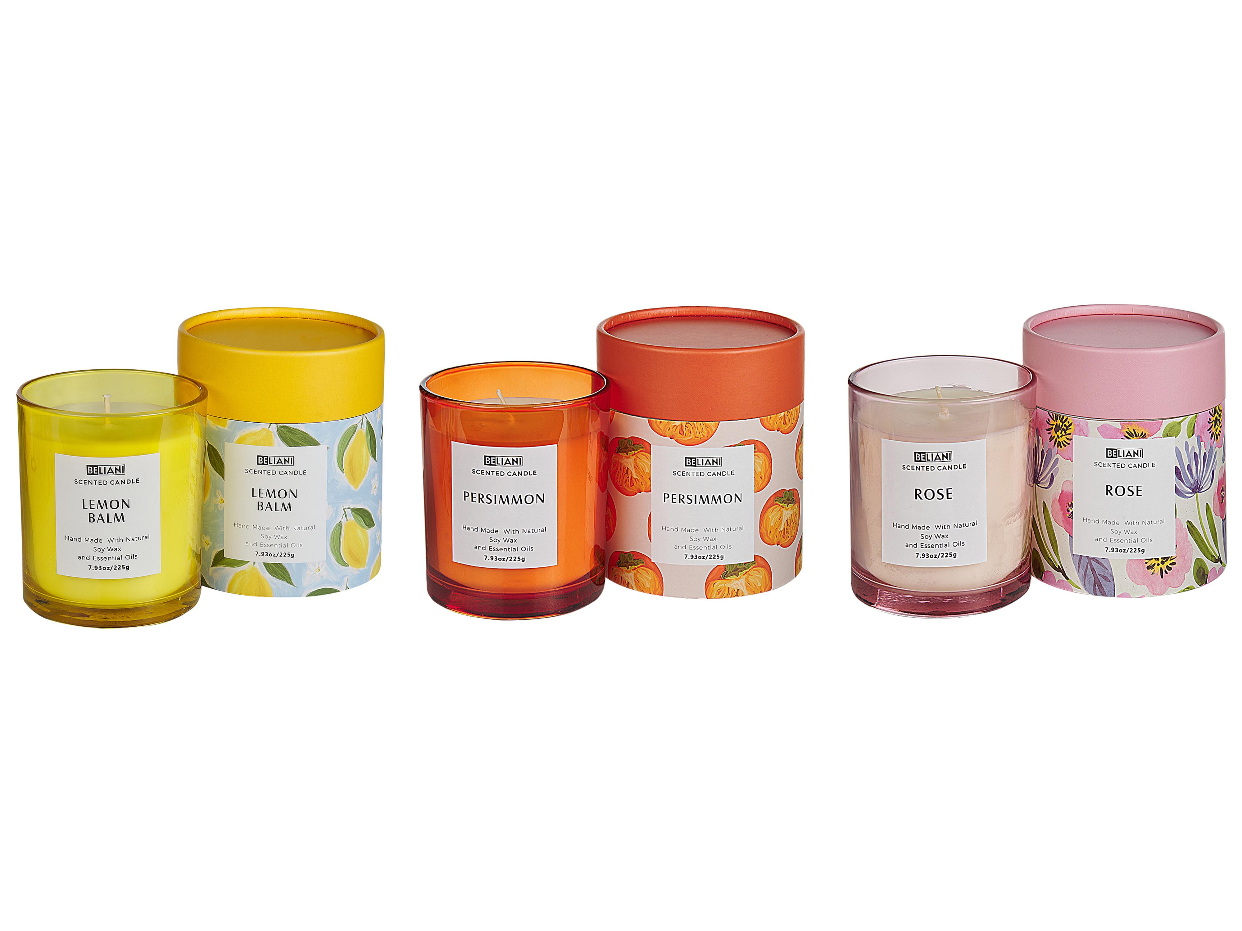 Set of 3 Scented Candles COLORFUL BARREL Soy Wax Oriental Notes Herb Notes Floral Notes