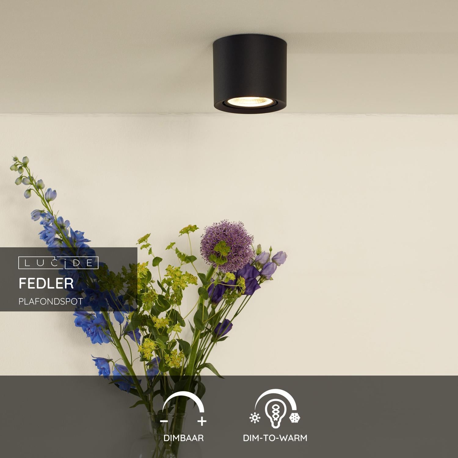 FEDLER - Plafondspot - Ø 12 LED Dim to warm Zwart