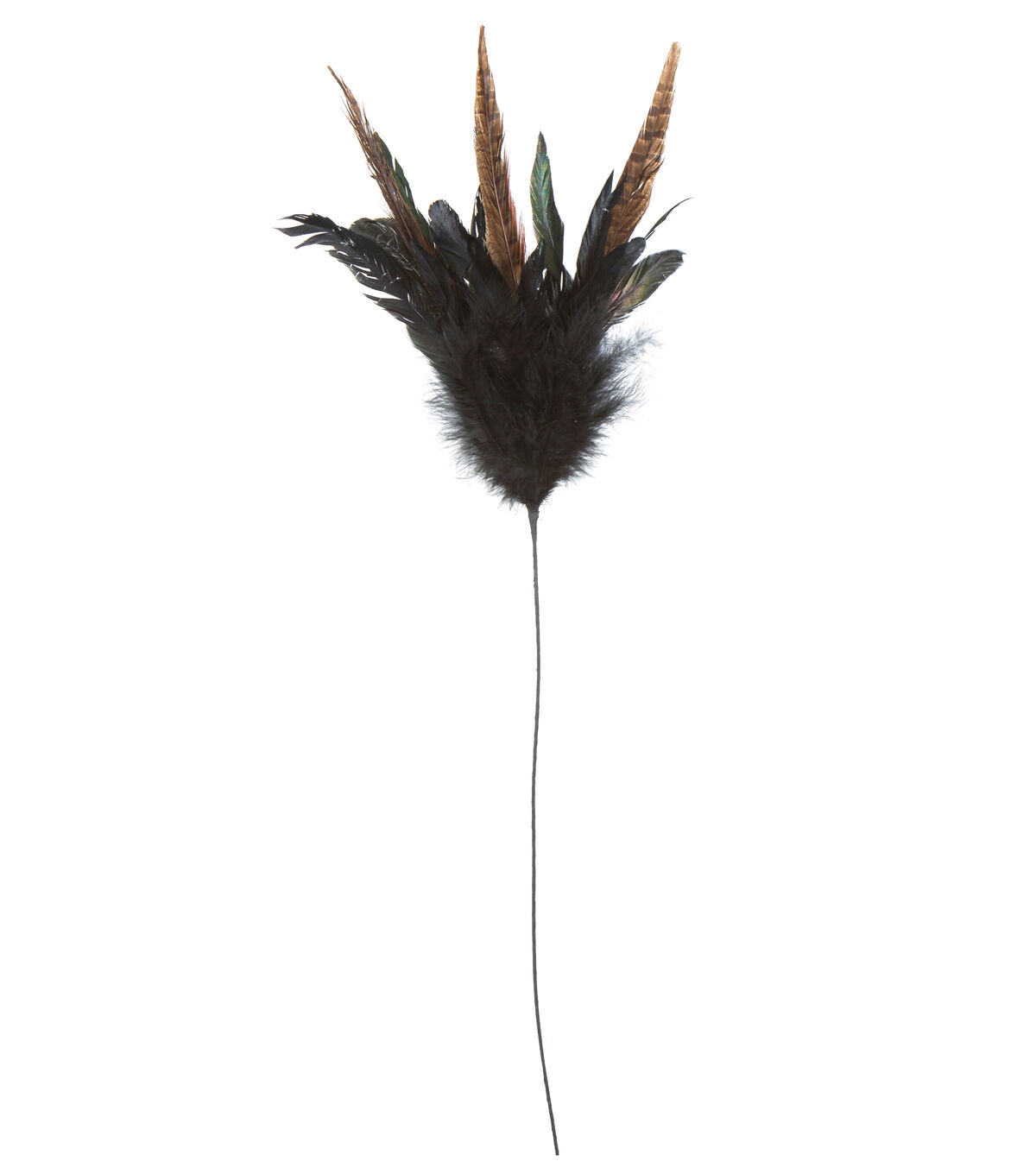 30 Black & Brown Feather Stem by Bloom Room