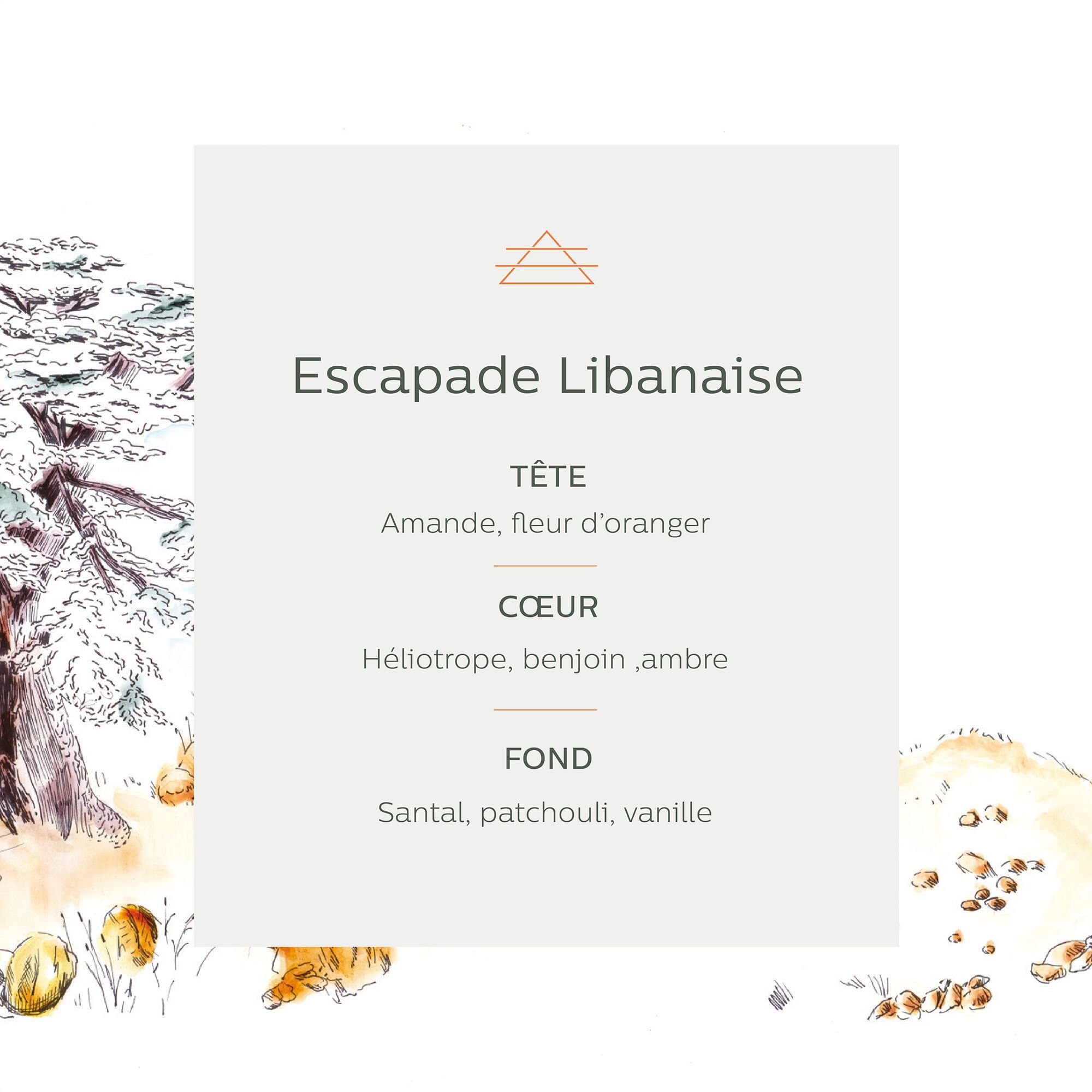 ESCAPADES - Diffuseur de parfum senteur escapade libanaise 150ml