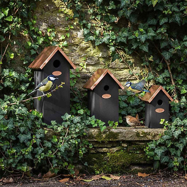 Nichoir à oiseaux en pin et cuivre Mésange charbonnière