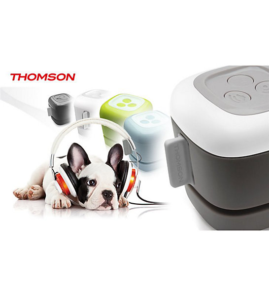 Carillon Vert THOMSON Sonnette porte MP3 16 GB et Flash portée Sans Fil 300m