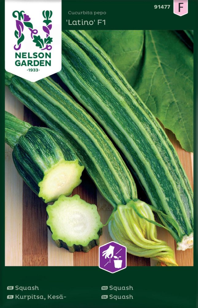 GRØNNSAKSFRØ NELSON GARDEN SQUASH LATINO F1