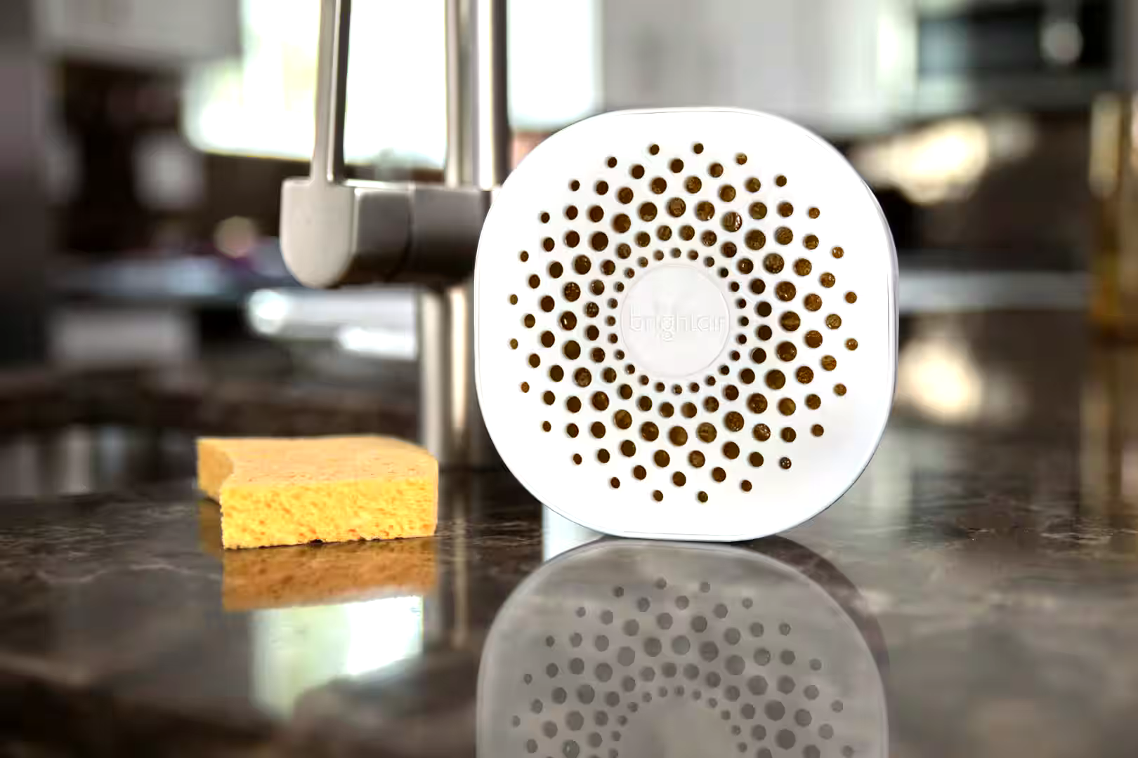 Bright Air Max Odor Eliminator