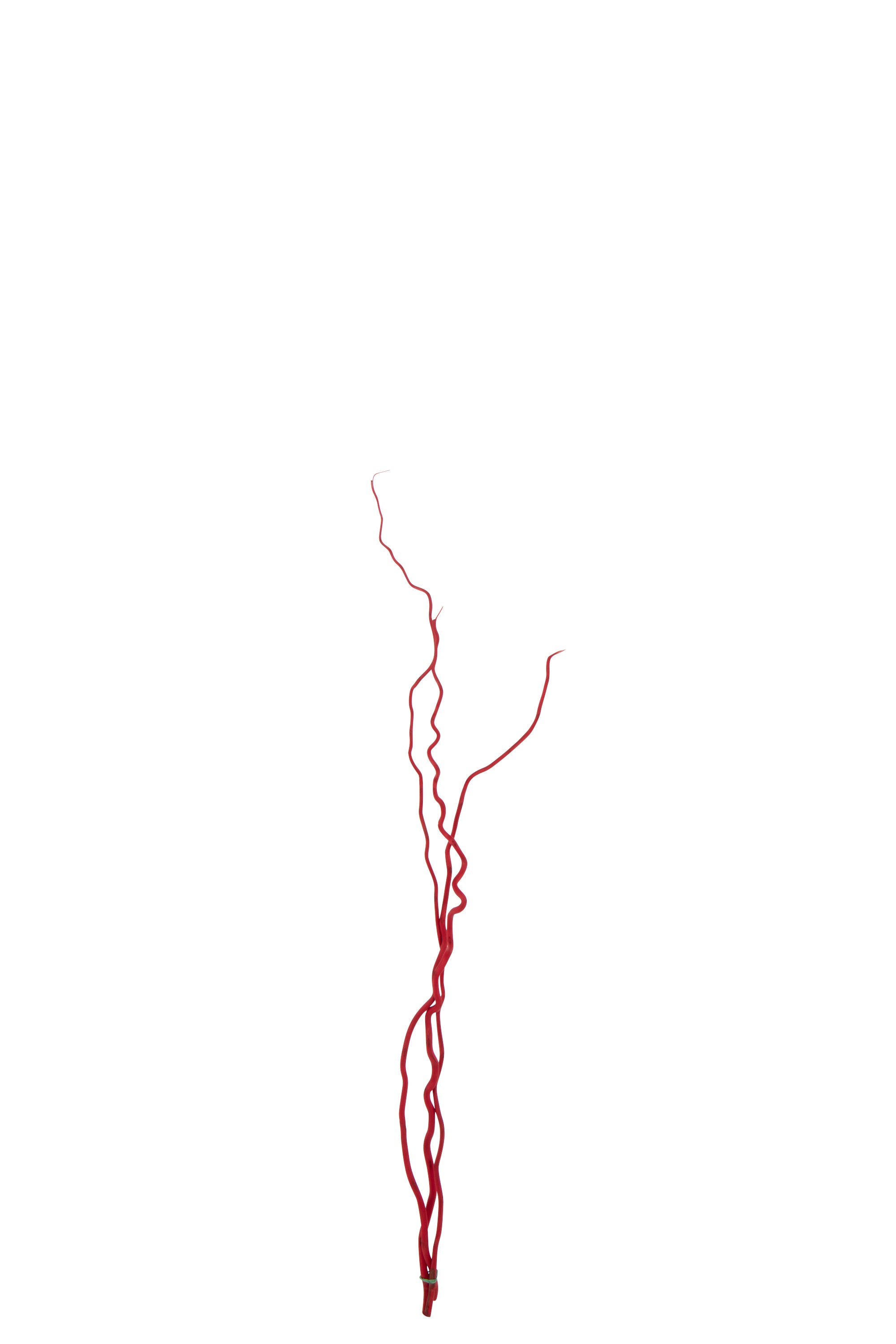 J-Line decoratie tak - riet - rood - medium - set van 3