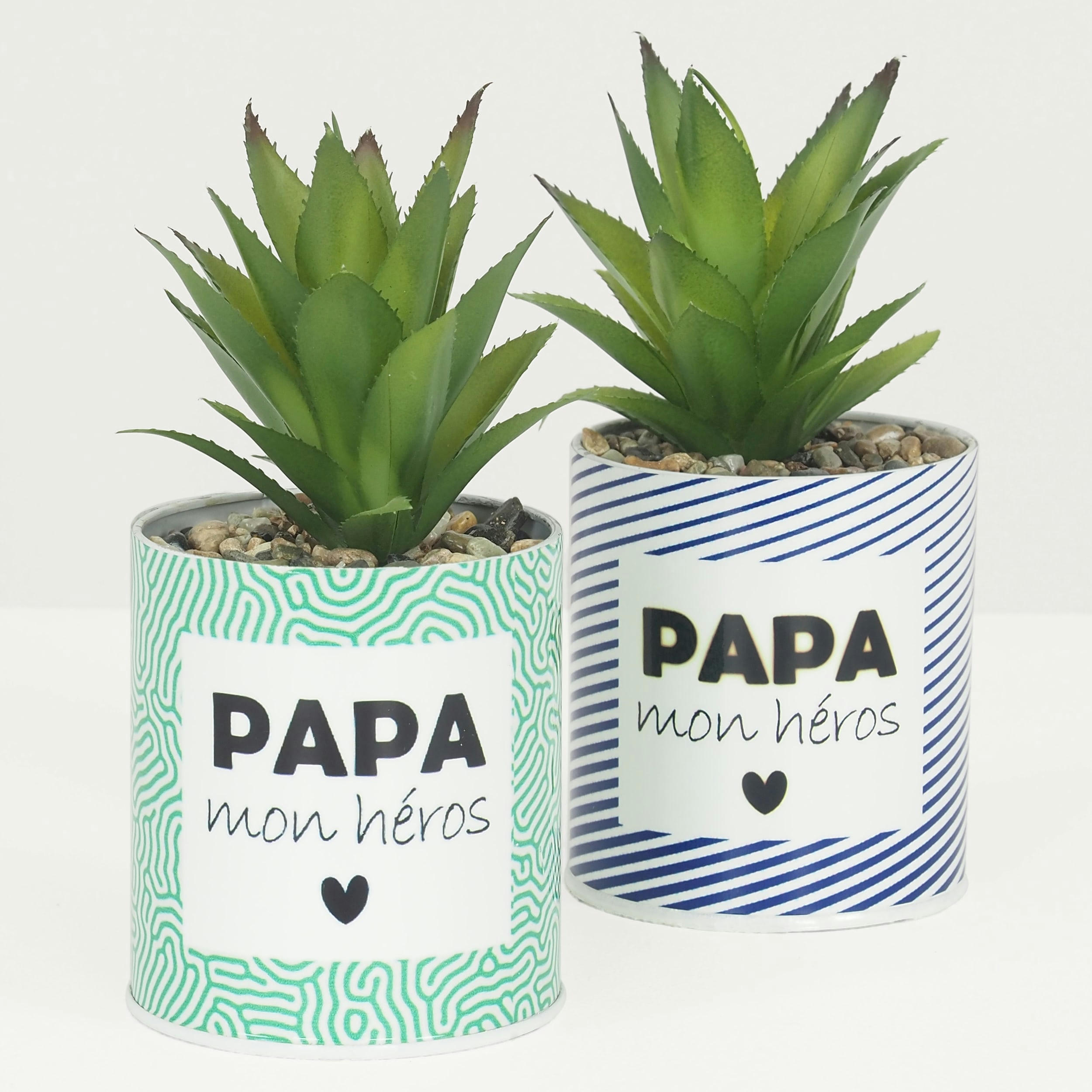 - Succulente artificielle en pot 17cm lot de 2