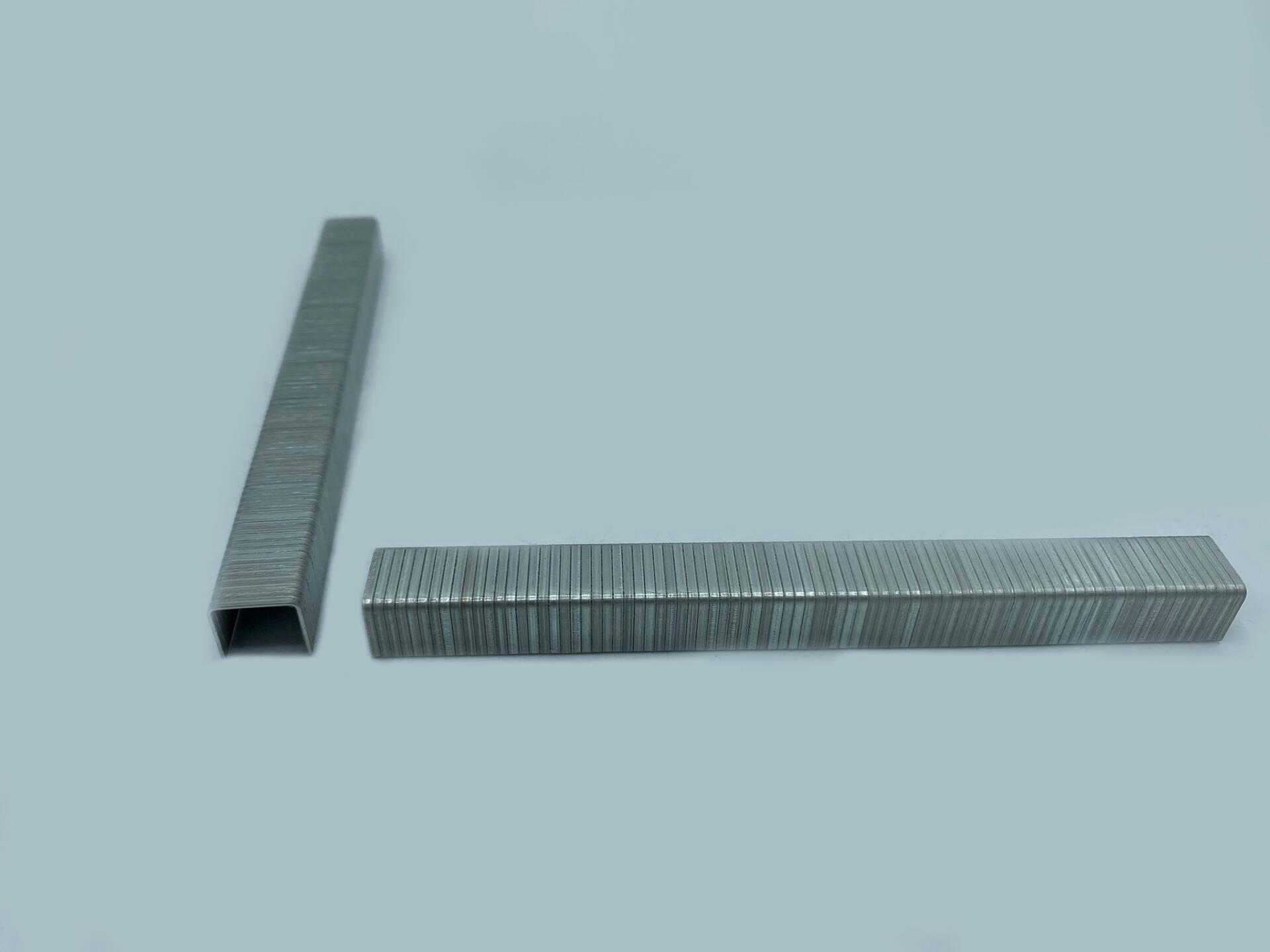 Mastercraft Fastener 3/8-in T50 Galvanized Staples, 1000-pk