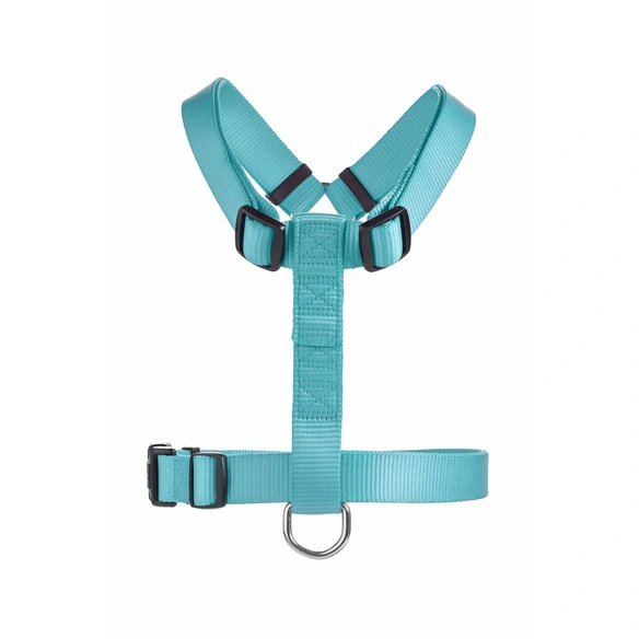 Geschirr, XXS-XS, Nylon, türkis