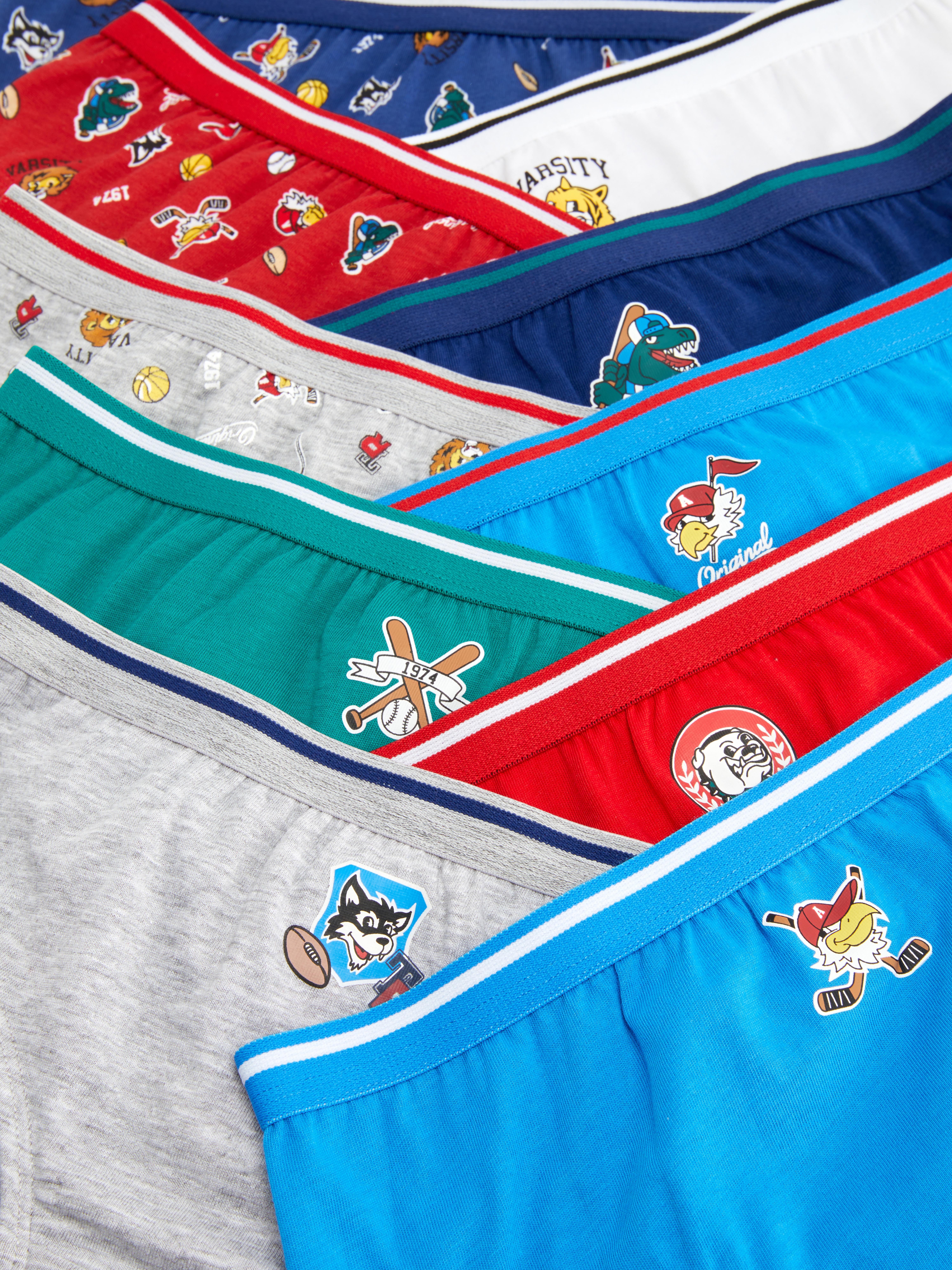 10-Pack Varsity Briefs