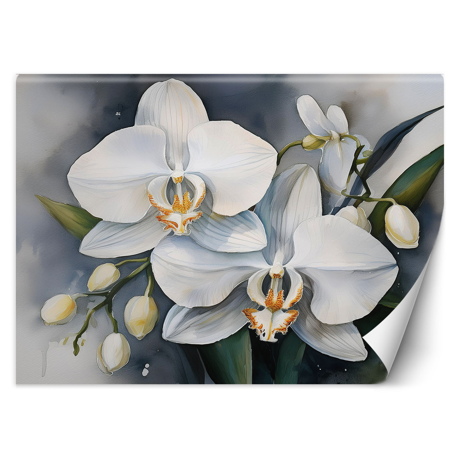 Feeby Fototapeta Kwiat orchidei Abstrakcja