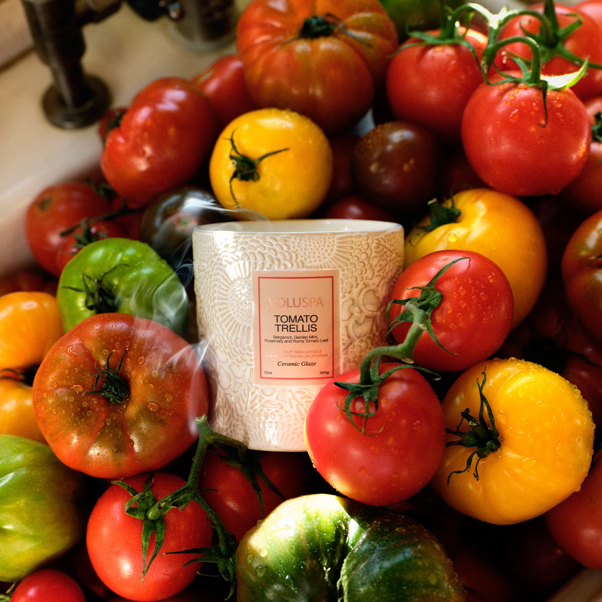 Tomato Trellis - Ceramic Luxe Classic Candle