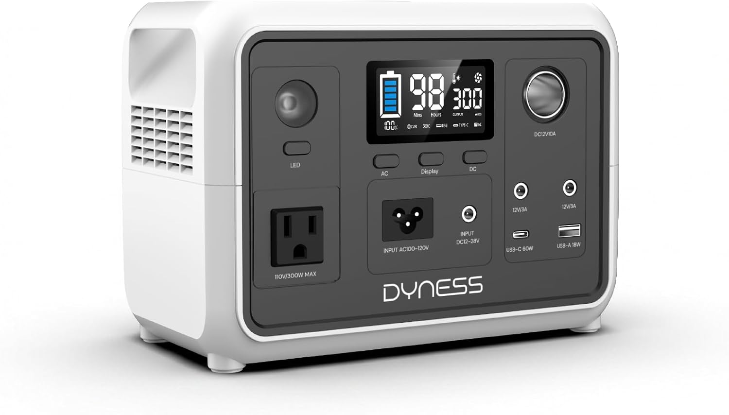 DYNESS Portable Power Station 300W, 256Wh Solar Generator with 110V Pure Sine Wave AC Outlet, LiFePO4 Battery for Camping, Home Backup, RV, CPAP, Outdoor Emergency (Solar Panel Optional)