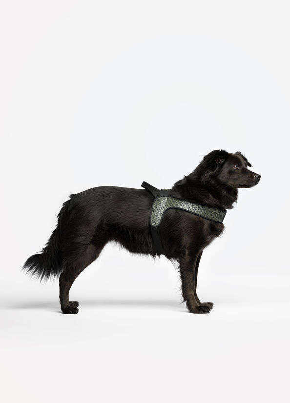 Pettorina taglia grande Liu Jo Pets
