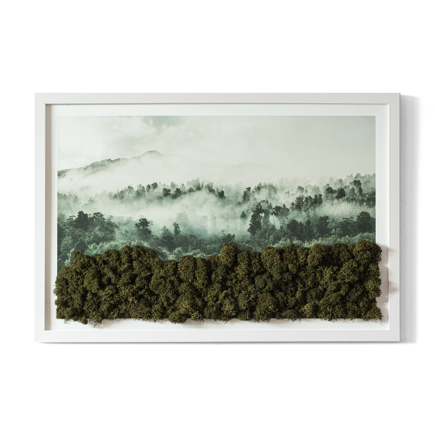 Obraz z mchem - Las we mgle 60x40 cm Biała Rama