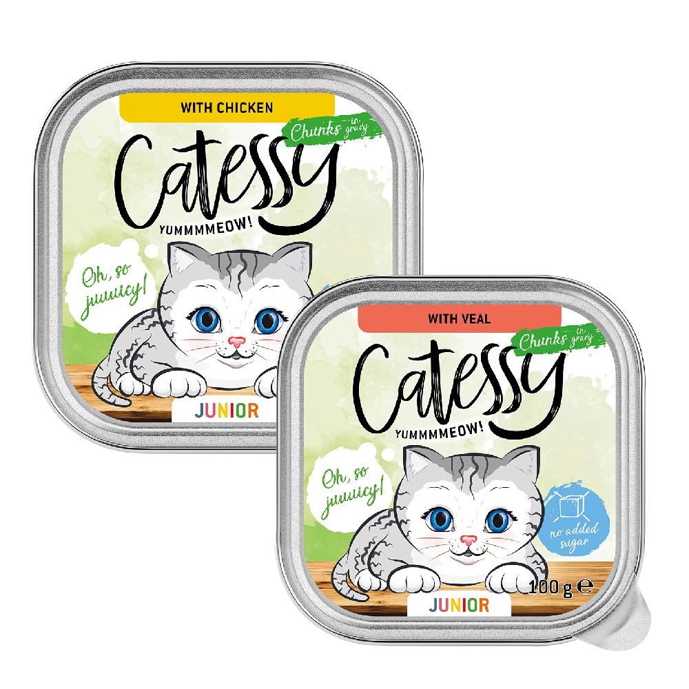 Catessy Junior Chunks in Gravy Mixed Pack