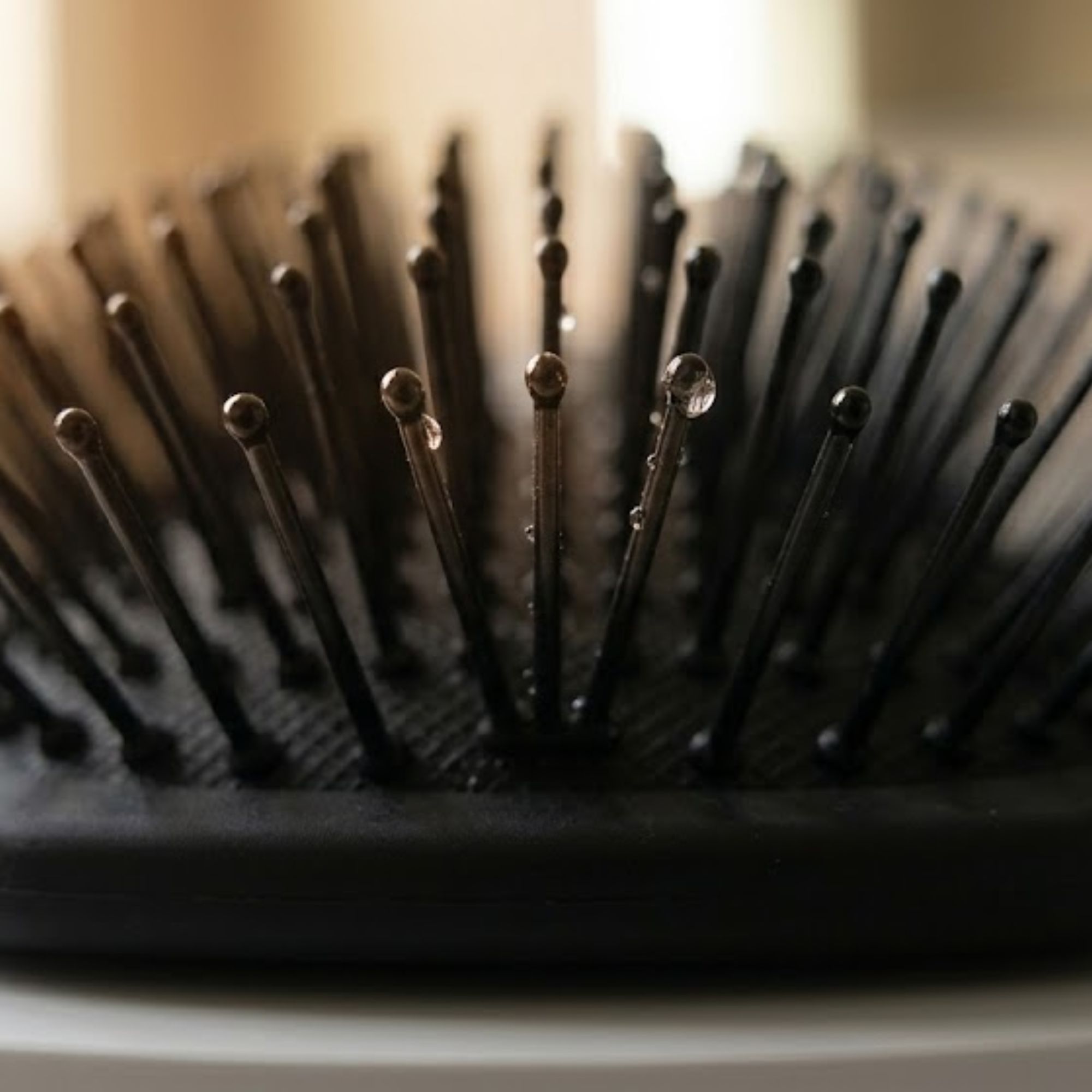 Bedsland Hair Styling Brush Soft Bristles for Everyday Hair Care & Styling