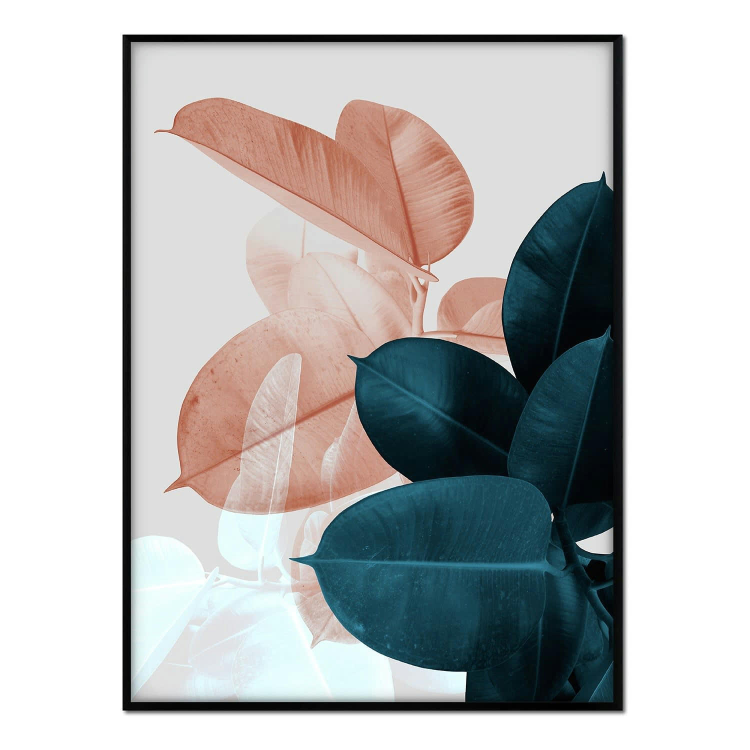 PLANTAS - Affiche avec cadre noir - Ficus vert et orange - 50x70