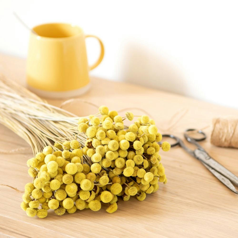 JULES - Bouquet de fleurs séchées jaunes