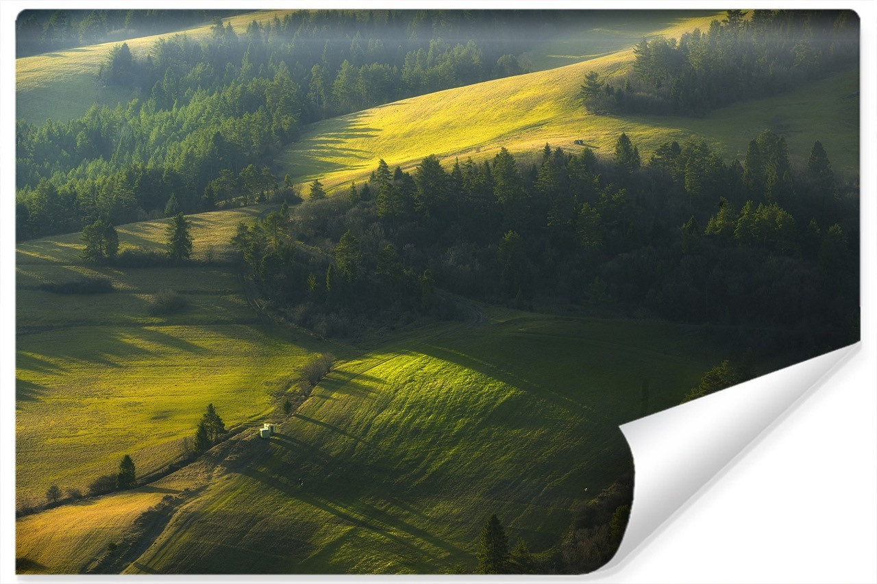 Fototapeta KRAJOBRAZ Zielone Łąki Natura 90x60cm