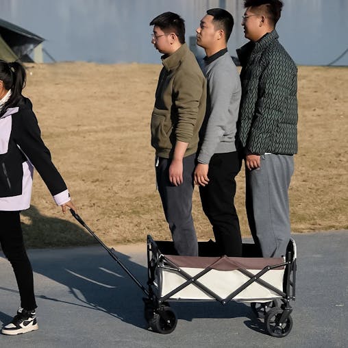 NNEOBA Collapsible Folding Beach Cart Heavy Duty Outdoor Wagon