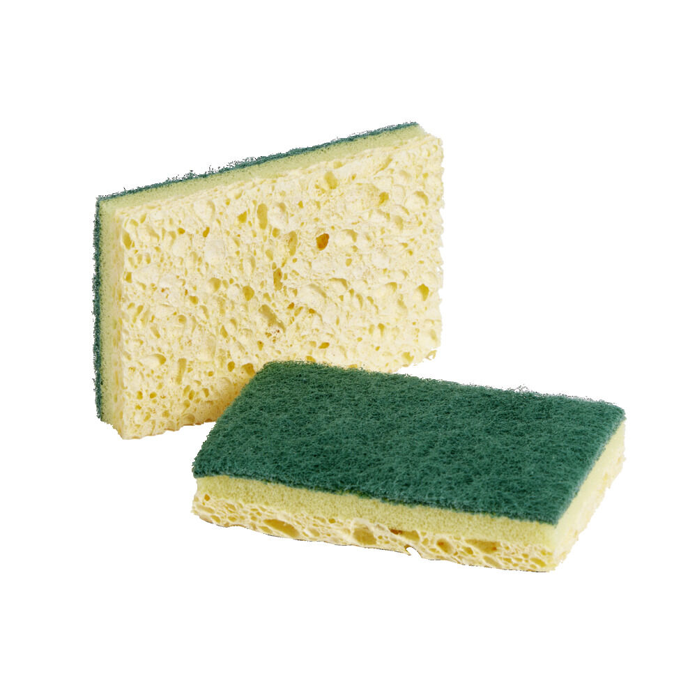 éponge grattoir végétale verte Nicols x2