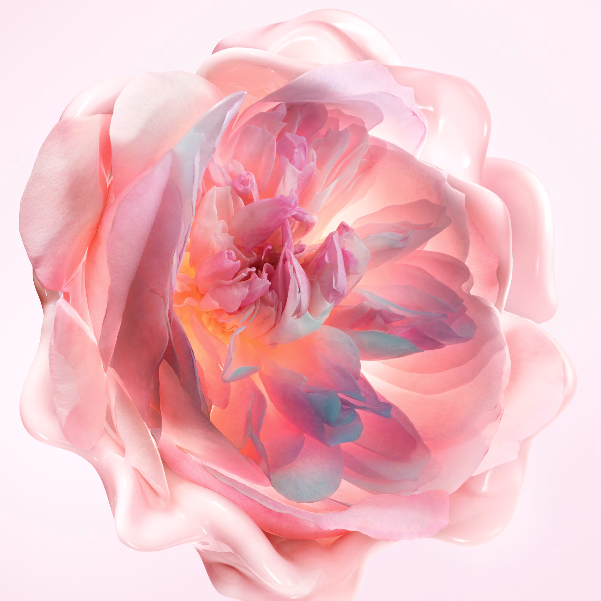 MISS DIORCrème mains fondante - crème hydratante parfumée pour les mains