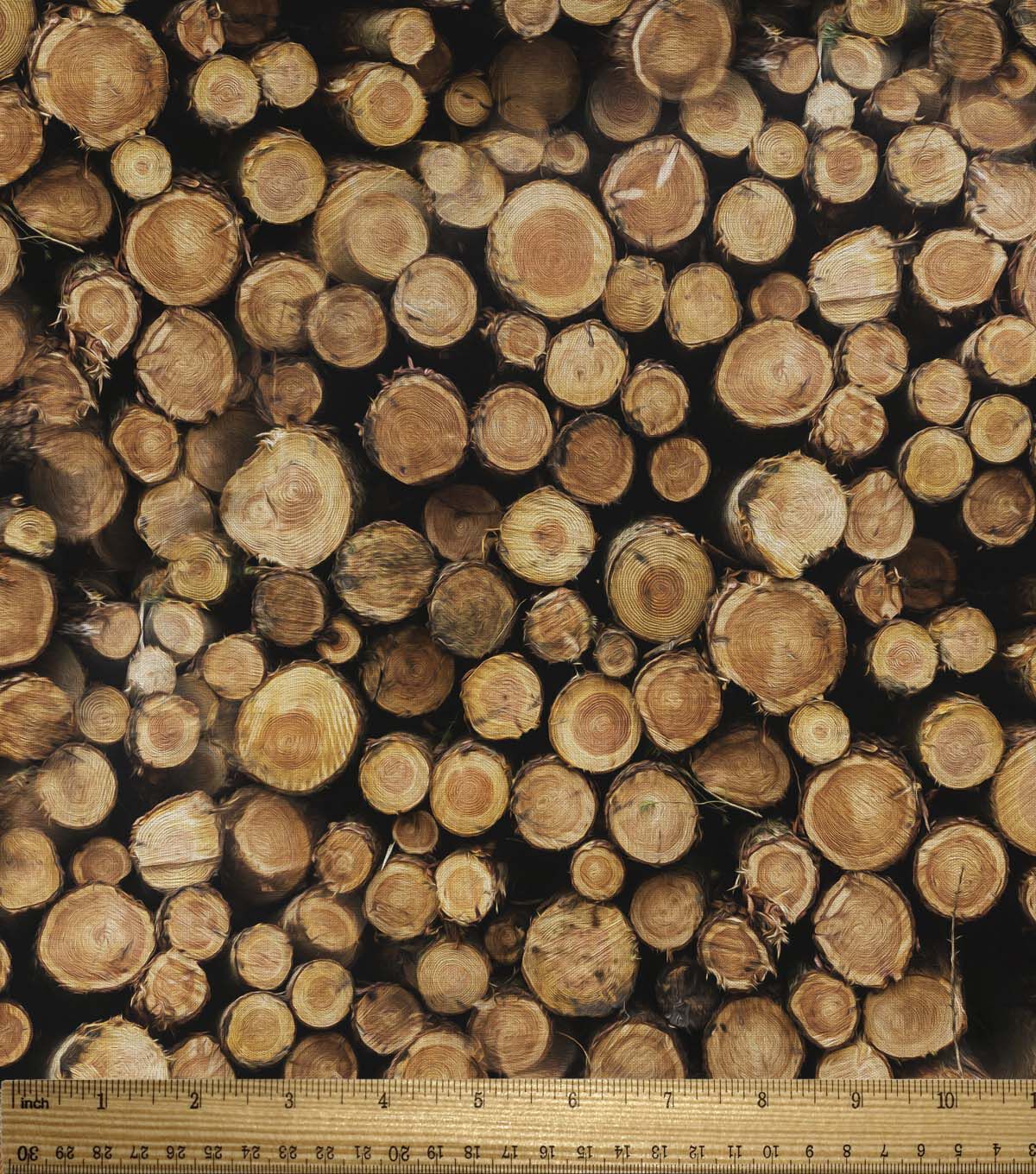 David Textiles Lumber on Black Novelty Cotton Fabric