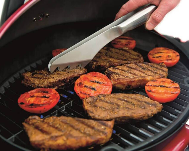 Ziggy Classic Single Burner Portable Grill LPG BBQ - Gunmetal Grey