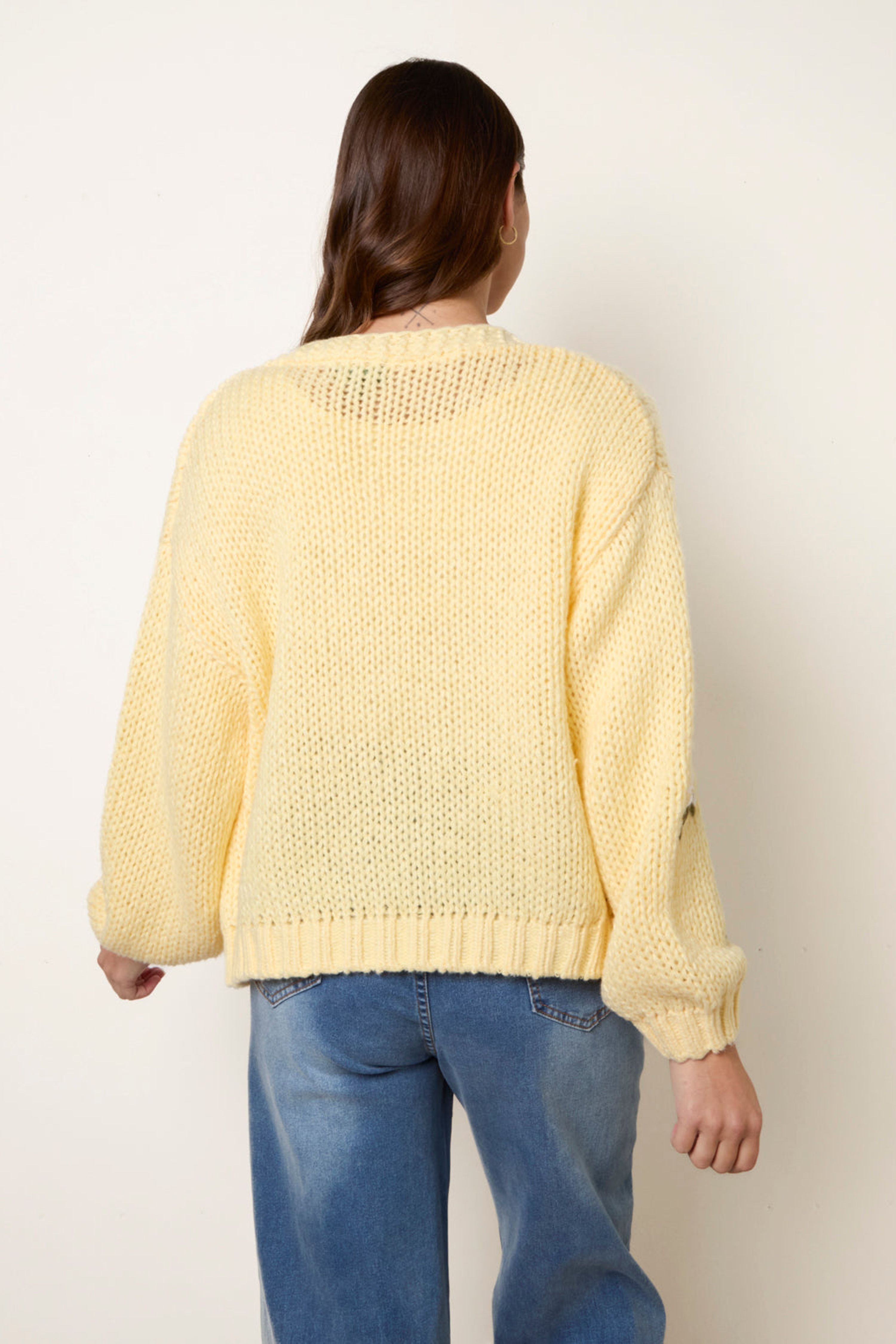 Blue Vanilla Yellow Flower Embroidery Detailed Cardigan