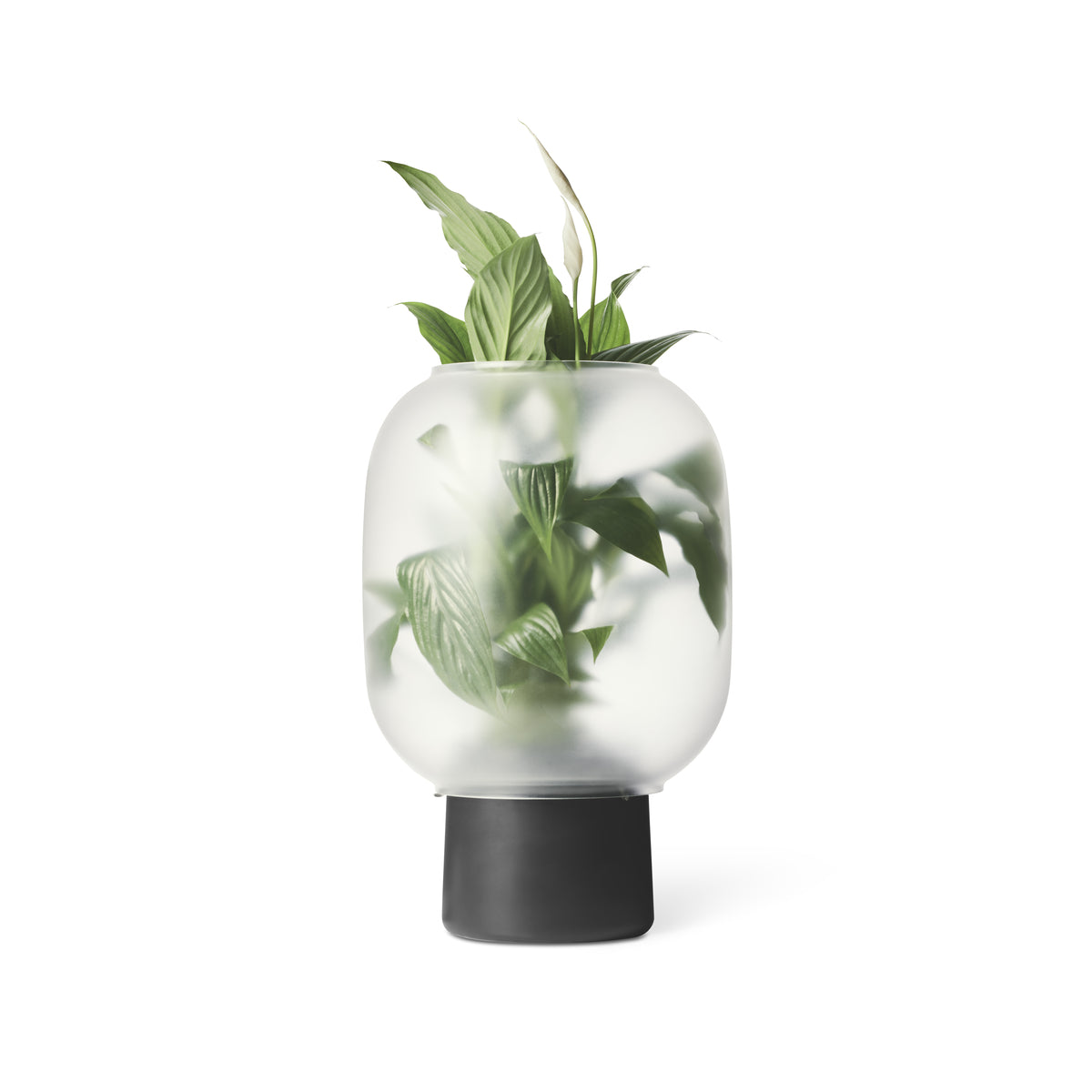 Gejst Vaas Glas