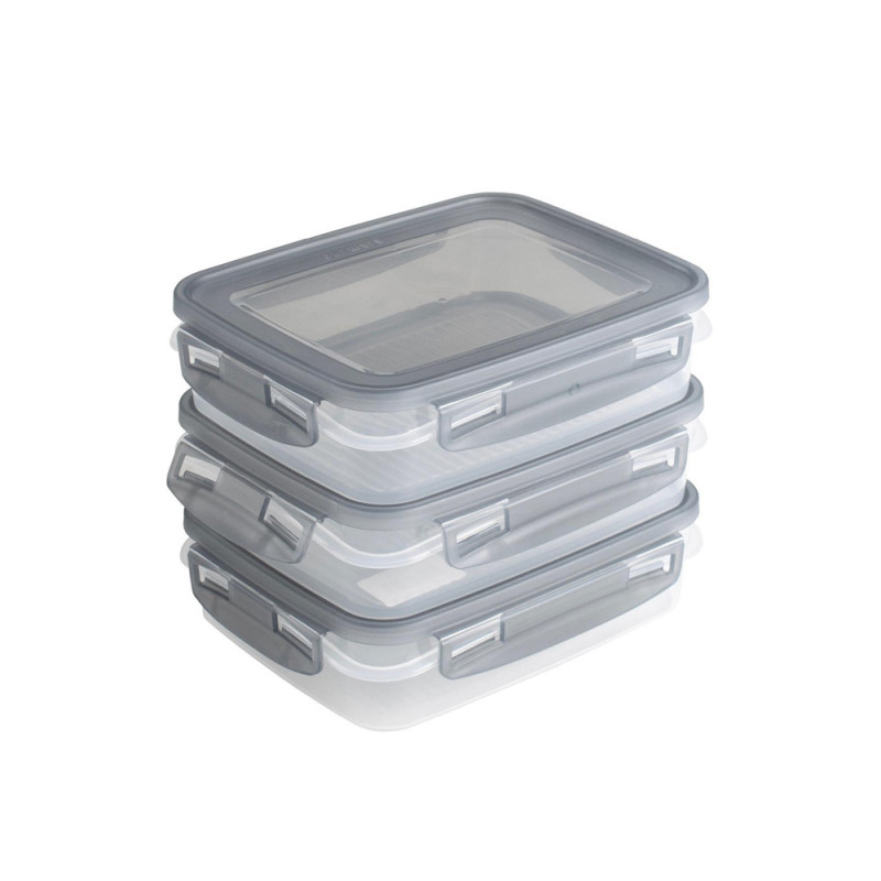 Boîte de congélation avec clips Club Cuisine transparent et gris 0,7 L 3 pièces SUNWARE