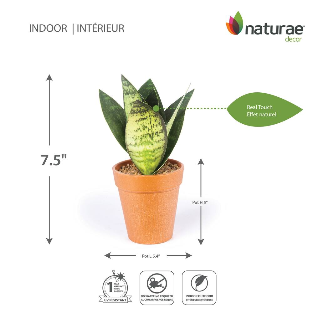 Naturae Décor Artificial Indoor Sanseveria Plant in Terra Cotta Pot, 8-in